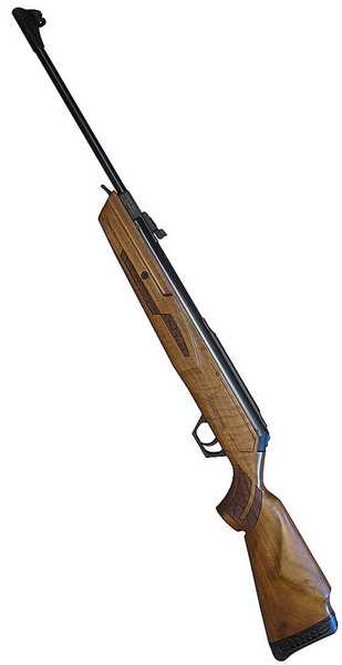 22-caliber Browning Gold air rifle: Part 1 | Pyramyd Air Blog