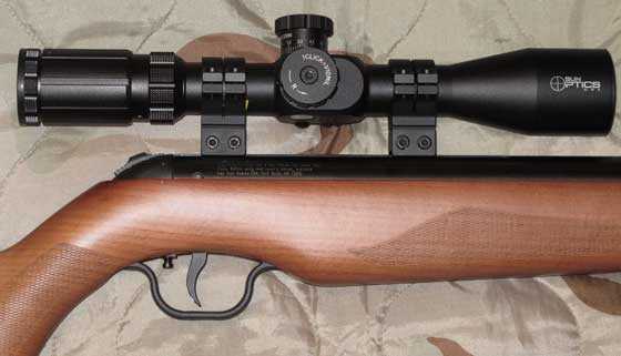 Walther Parrus with wood stock scoped
