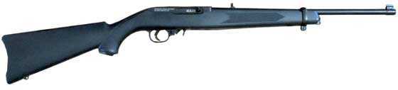 Ruger 10/22 Air Rifle