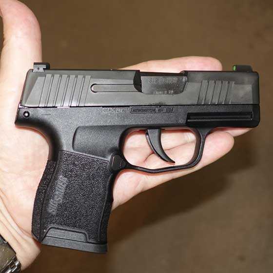 Sig P365 in hand