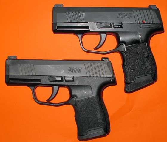 Sig P365 two guns