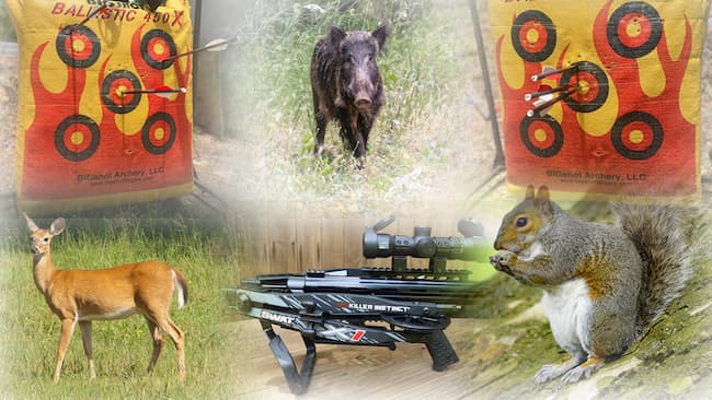image collage of targets: deer, squirrel, hog, bag targets, all surrounding the crossbow.