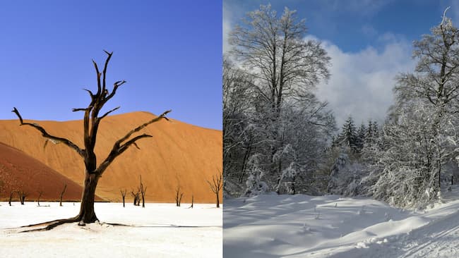 left - desert scene. right- winter scene