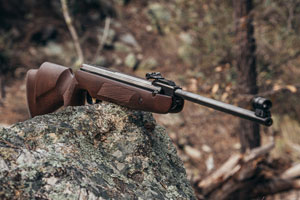 Airguns