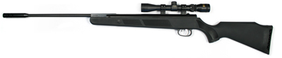 Beeman Panther Air Rifle, RS2 Trigger