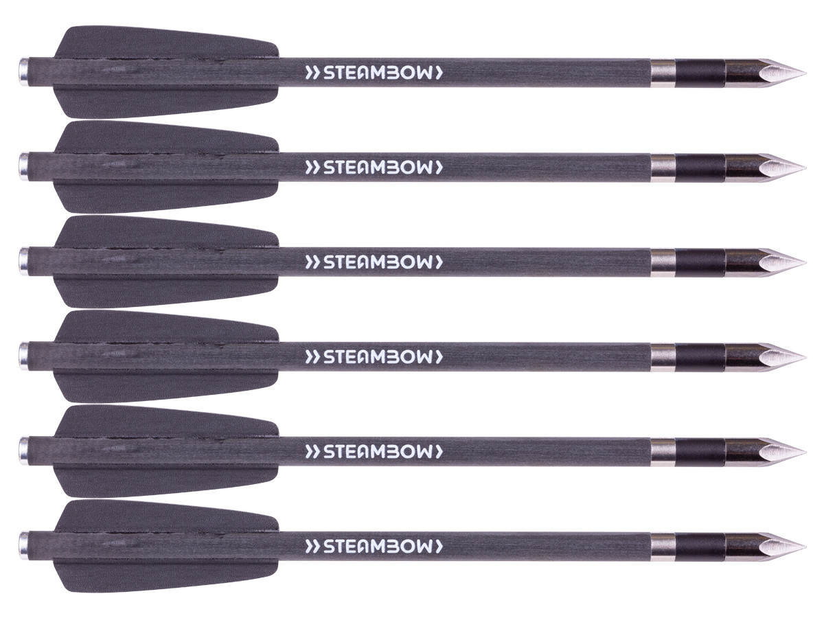 Steambow AR-Series Carbon Bodkin Arrows, Heavy, 6 Pack