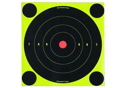 Birchwood Casey Shoot-N-C Targets, 8 Bullseye, 30 Targets + 120 Pasters