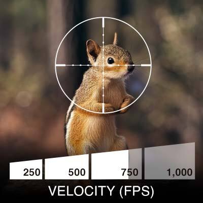 Umarex Notos PCP Rifle Velocity is 700 FPS