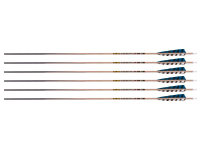 Gold Tip Traditional Classic XT 500 Spine Arrows, 6 Pack