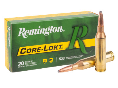 Remington .243 Winchester