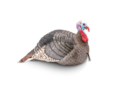 Hunters Specialties Strut Lite Jake Decoy