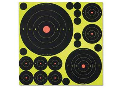 Birchwood Casey Shoot-N-C Variety Pack, 50 Bullseye Targets + 50 Pasters