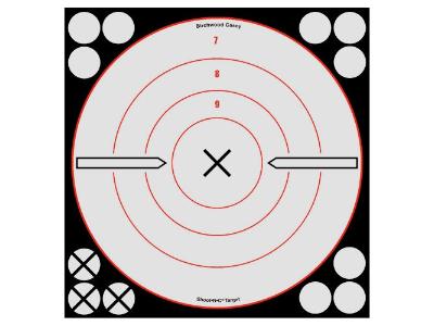 Birchwood Casey Shoot-N-C White/Black Bullseye X Targets & Pasters, 8", 6ct